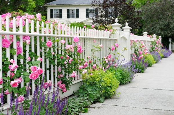 Fence Protection