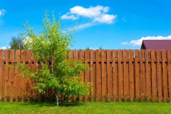 Fence Revival Service